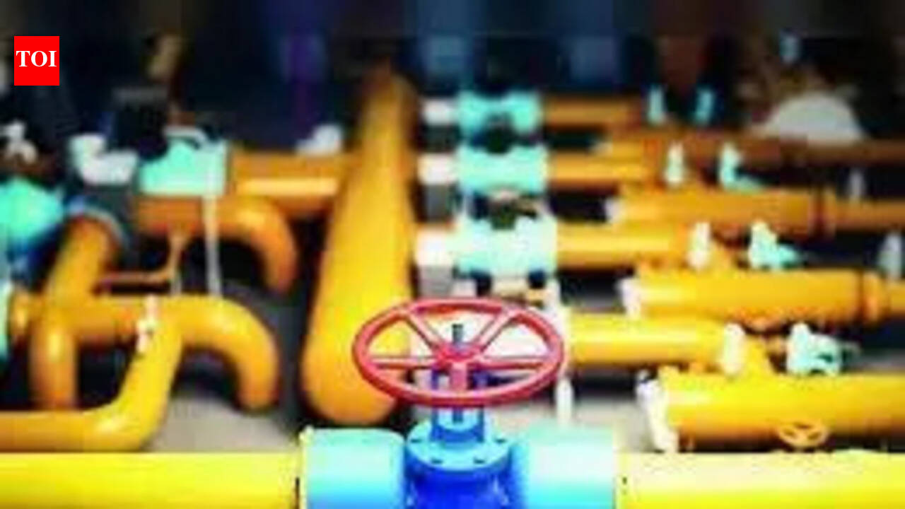Dist sees 25k piped gas connections in April & May amid govt push