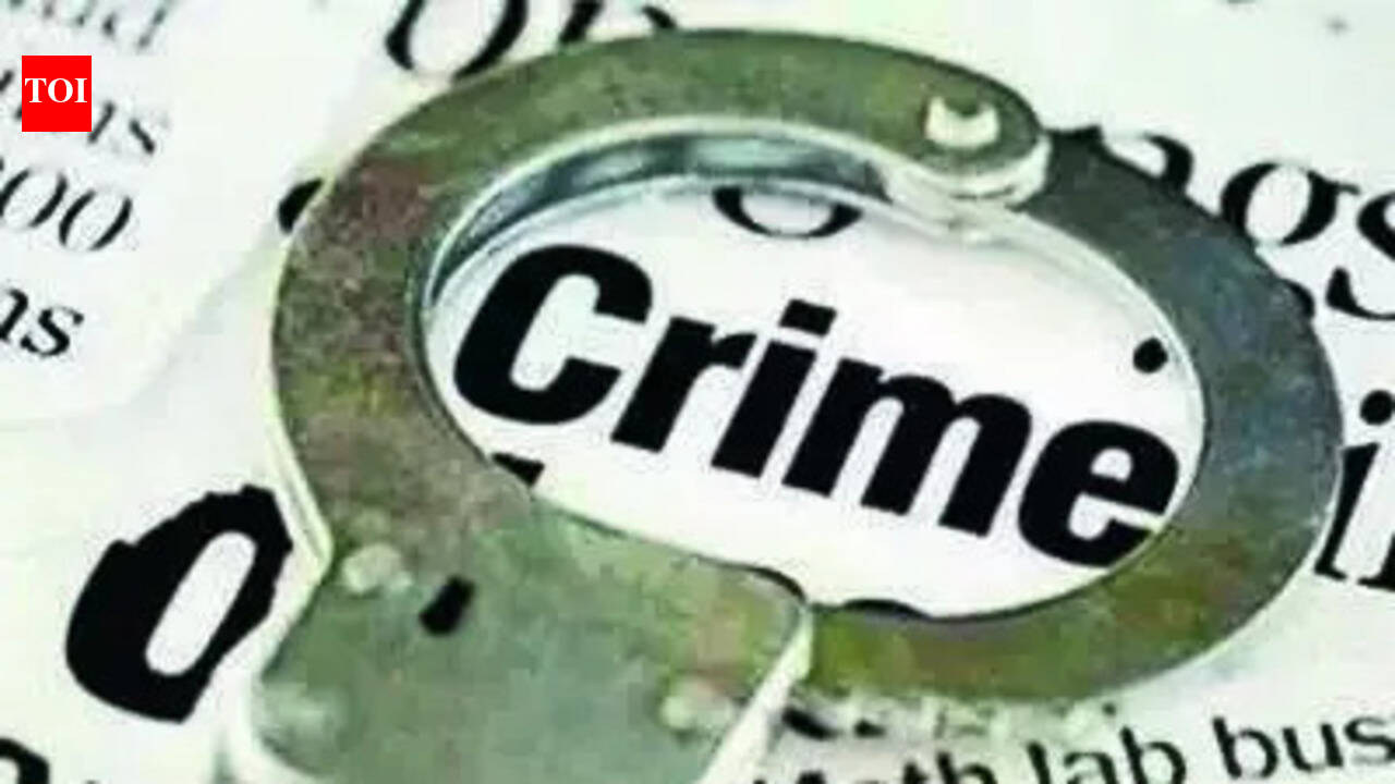 Elderly woman assaulted by neighbours in Pune after argument about pet cats