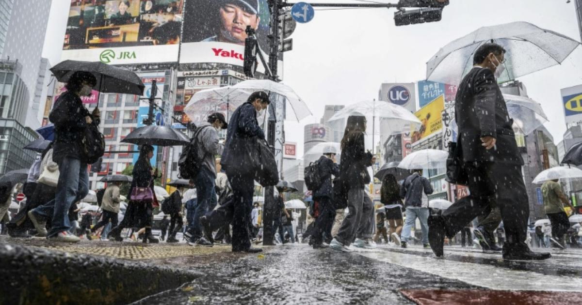 el-nino-2026-tokyo-record-rainfall-chile-atacama-desert-bloom