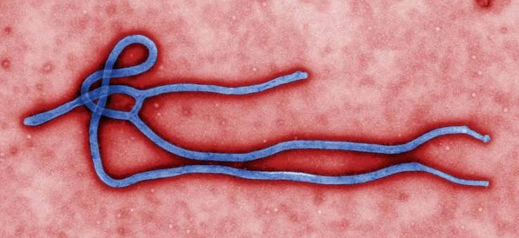 congo-ebola-outbreak-deadliest-warning-who-2026
