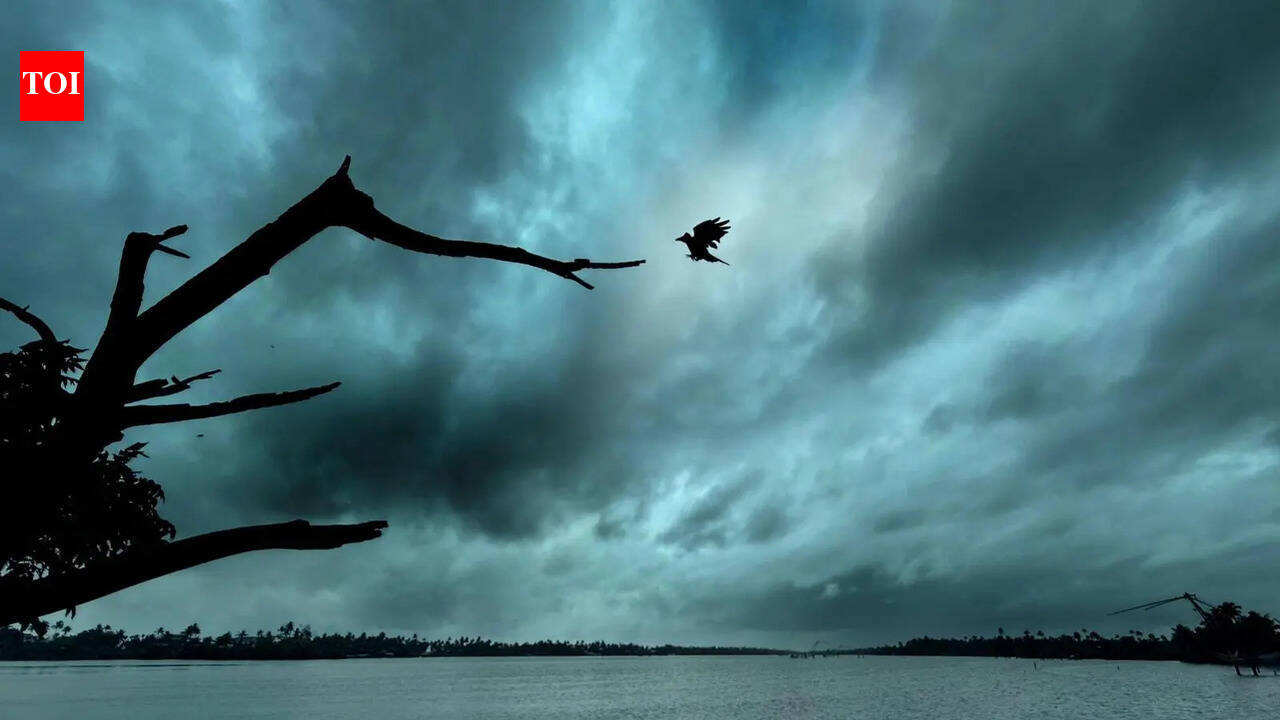 Positive Indian Ocean Dipole may offer late boost to monsoon despite El Niño: Scientists
